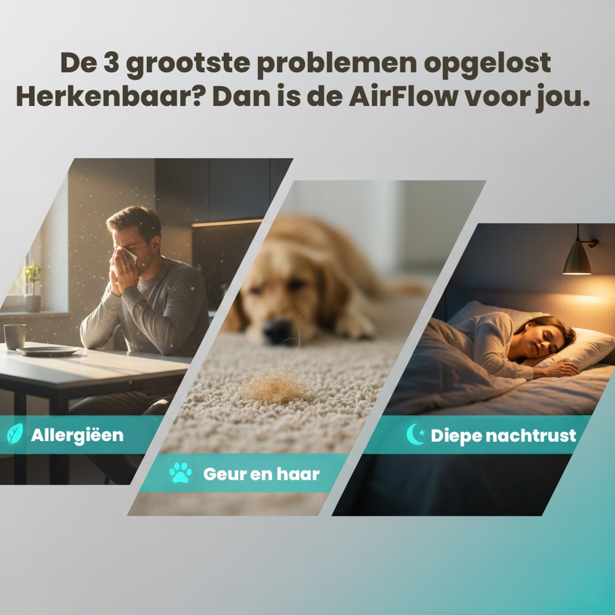 Airflow Luchtreiniger / Air Purifier voor Huisdieren & Allergie - 350 m³/h – HEPA Filter H13 – App bediening & Luchtkwaliteitsensor - intplus+ — afbeelding 2