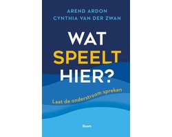 Omslag van Wat speelt hier?