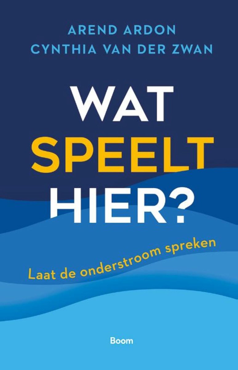 Omslag van Wat speelt hier?
