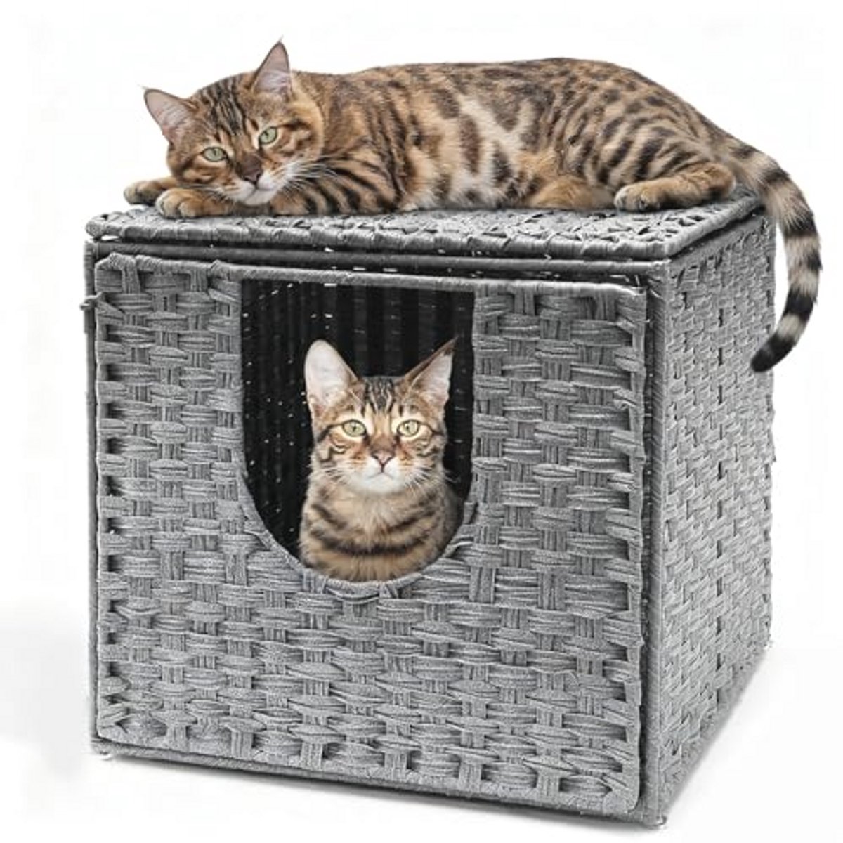 Kattenbak Bamboe Gevlochten 50 x 52 x 45 cm - Eenvoudig te Monteren Verhullende Kattenbak voor Katten tot 15 kg