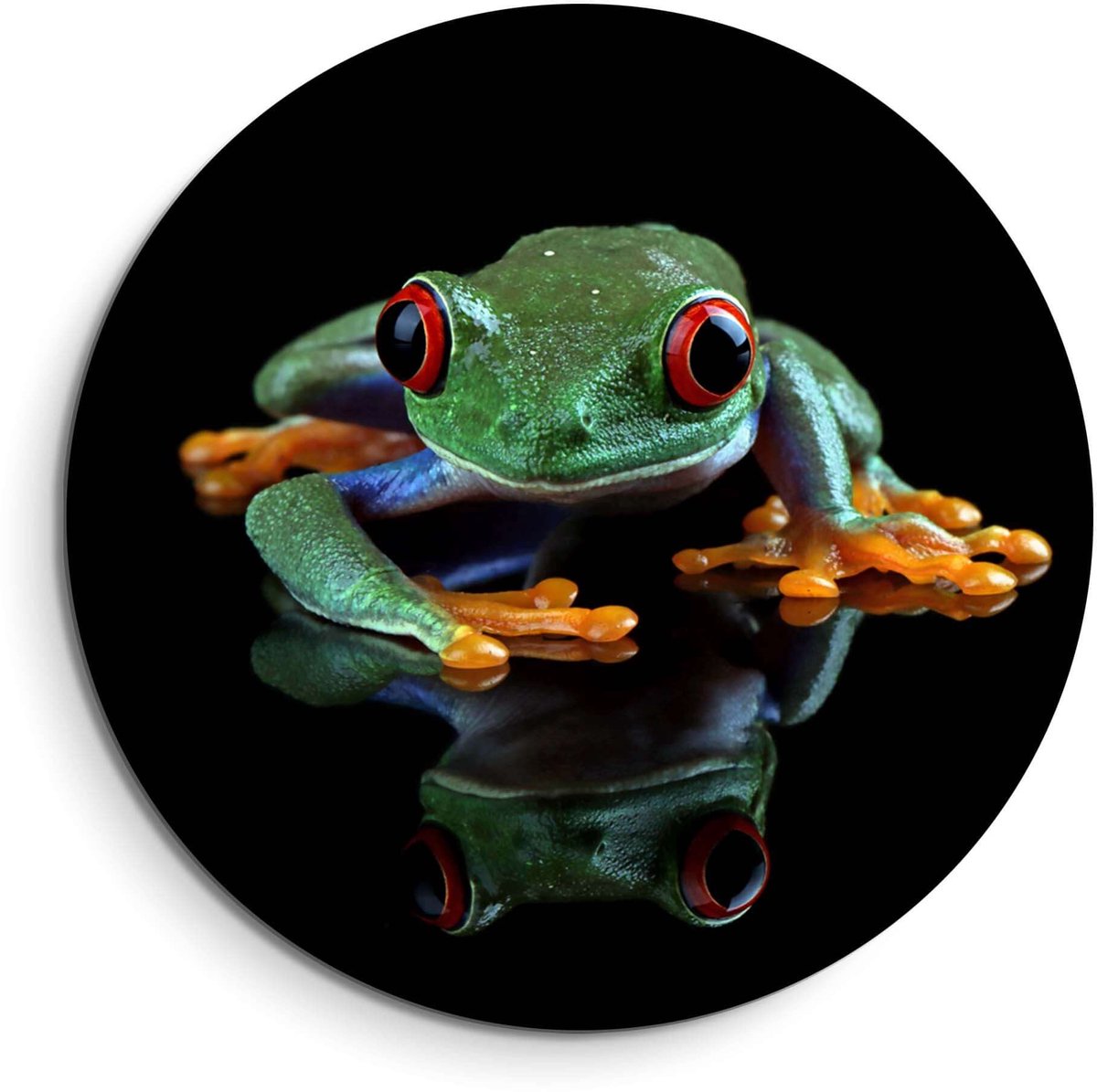 KitchenArt - Crimson Eyes - Muurcirkel Binnen - ø 80 cm - Wandcirkel - Mét Ophangsysteem - Wanddecoratie - Muurdecoratie