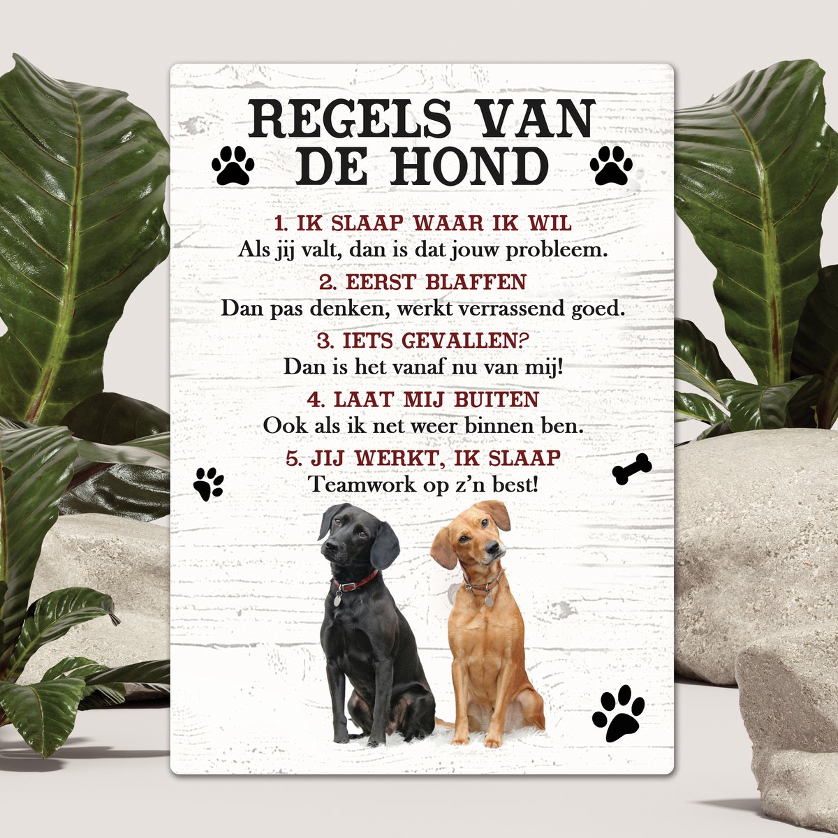 Spreuken - Labrador - Regels Van De Hond - Spreuken Bordjes - Spreukenbord - Tekstborden - Cadeau - Hondenras