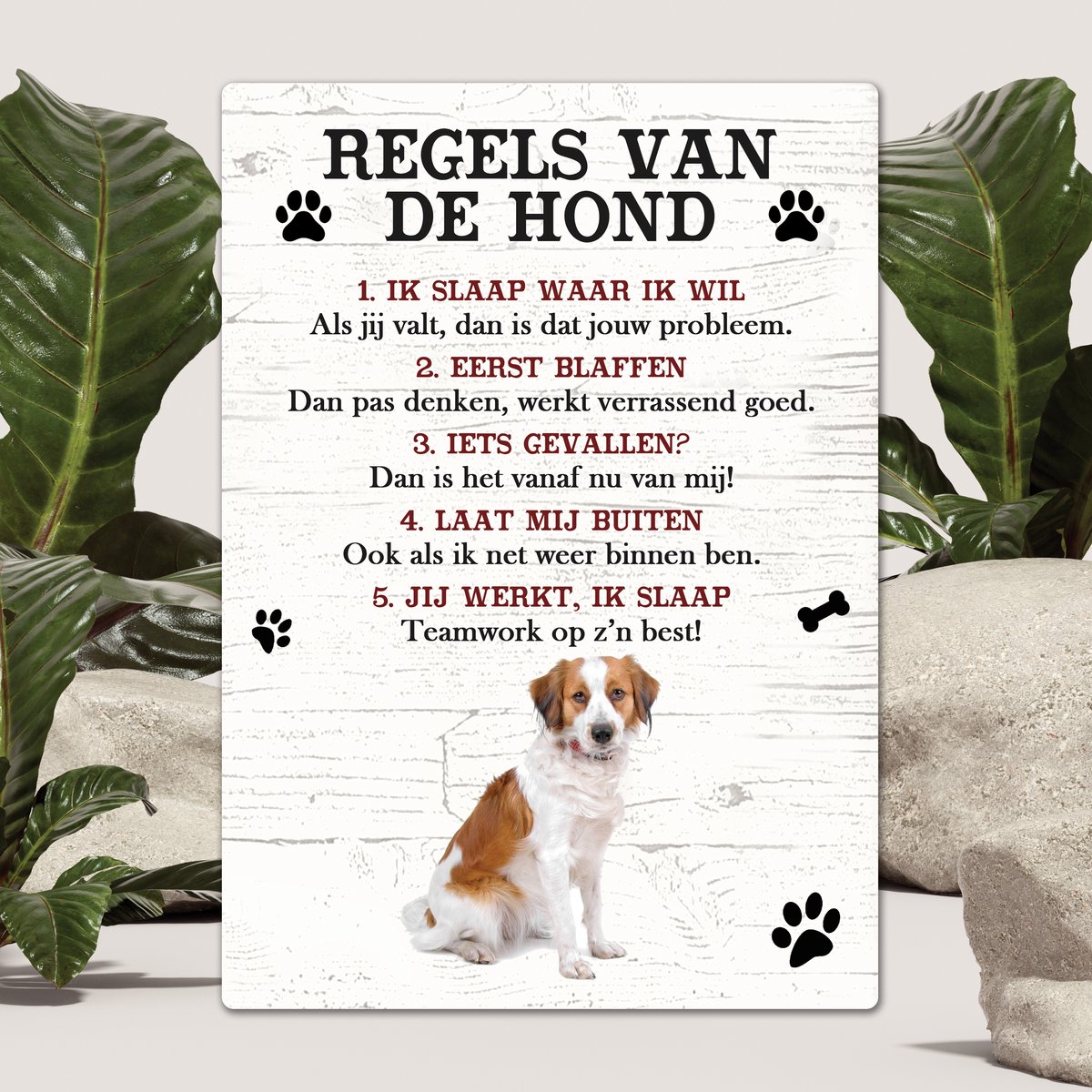 Spreuken - Kooiker - Regels Van De Hond - Spreuken Bordjes - Spreukenbord - Tekstborden - Cadeau - Hondenras