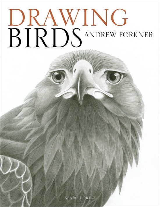 Drawing Birds - cover