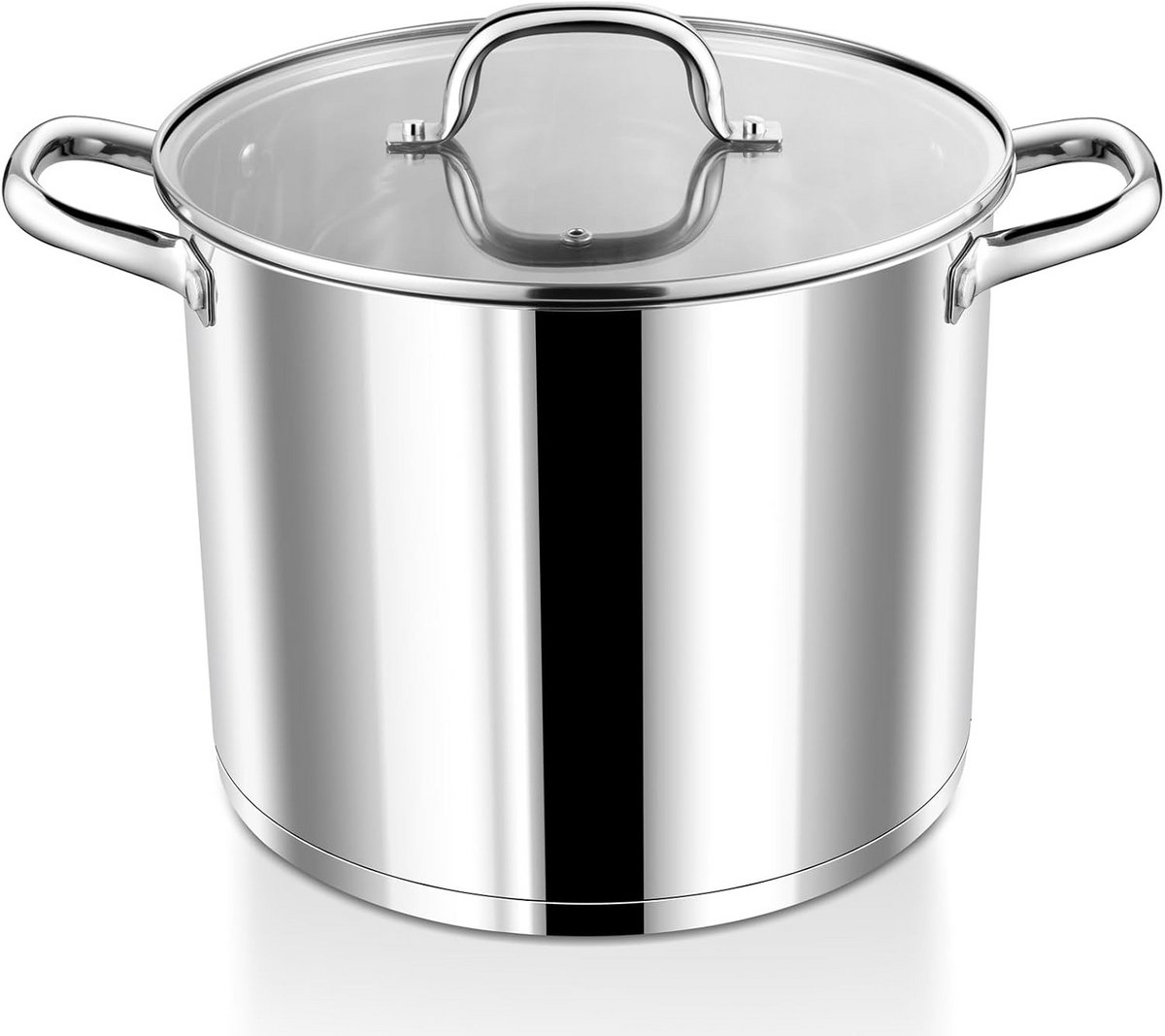 Grote RVS Kookpan met Glazen Deksel 9,4 Liter