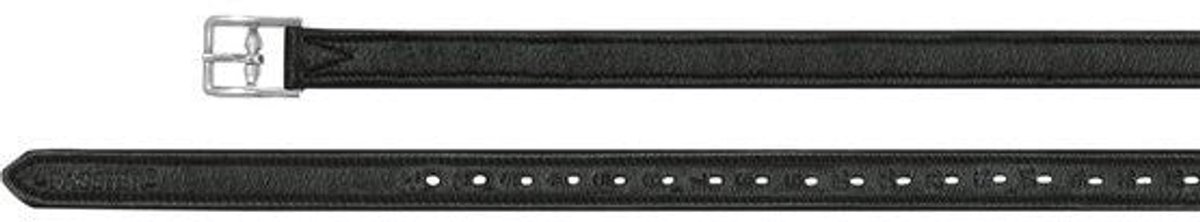Passier Stijgbeugelriemen met nylon voering One size