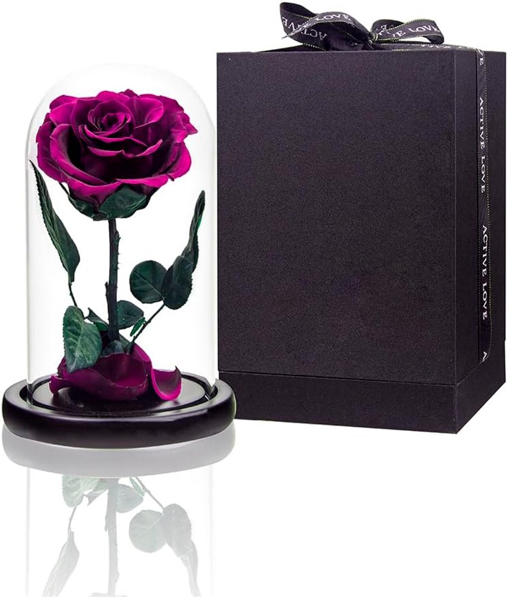 Eeuwige Roos in Glazen Stolp - Roze/Paars Geconserveerd Bloemen Cadeau voor Valentijn & Moederdag