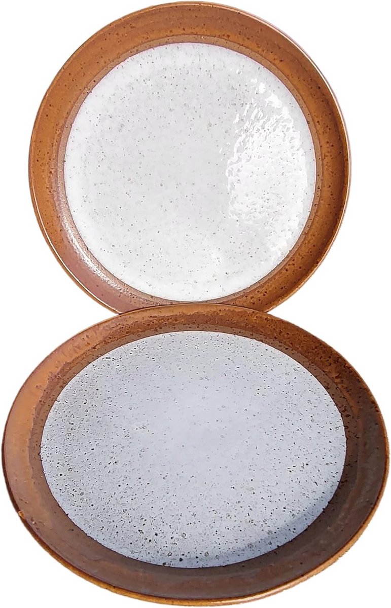 2 Grote Steengoed Borden, 29 cm, Magnetronbestendig en Vaatwasmachinebestendig