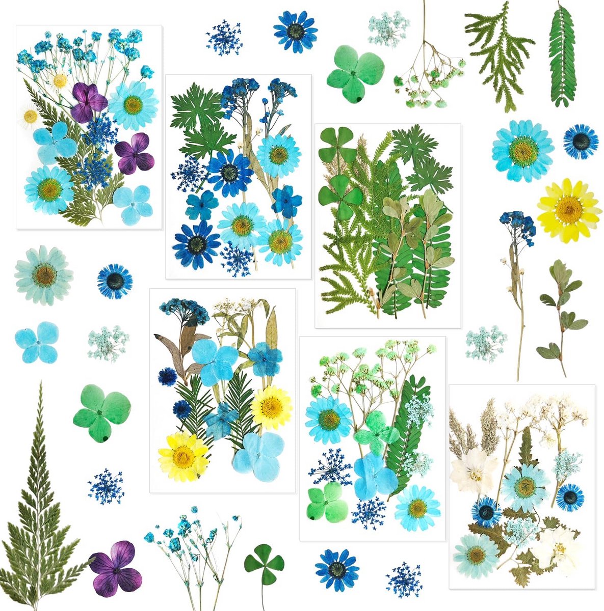 6 Pakken Blauwe Gedroogde Bloemen voor Hars, Nail Art, Kaarsen en Knutselen
