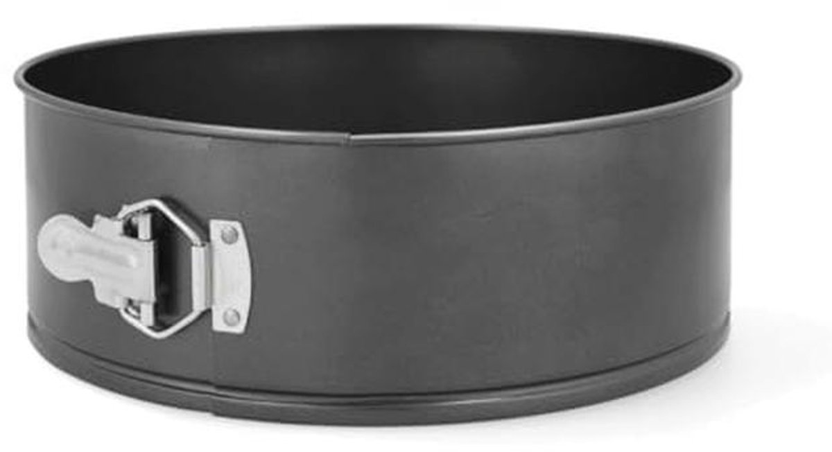 Lakkleed Stalen Springvorm 28 x 10 cm - Ideaal voor Taarten en Gebak