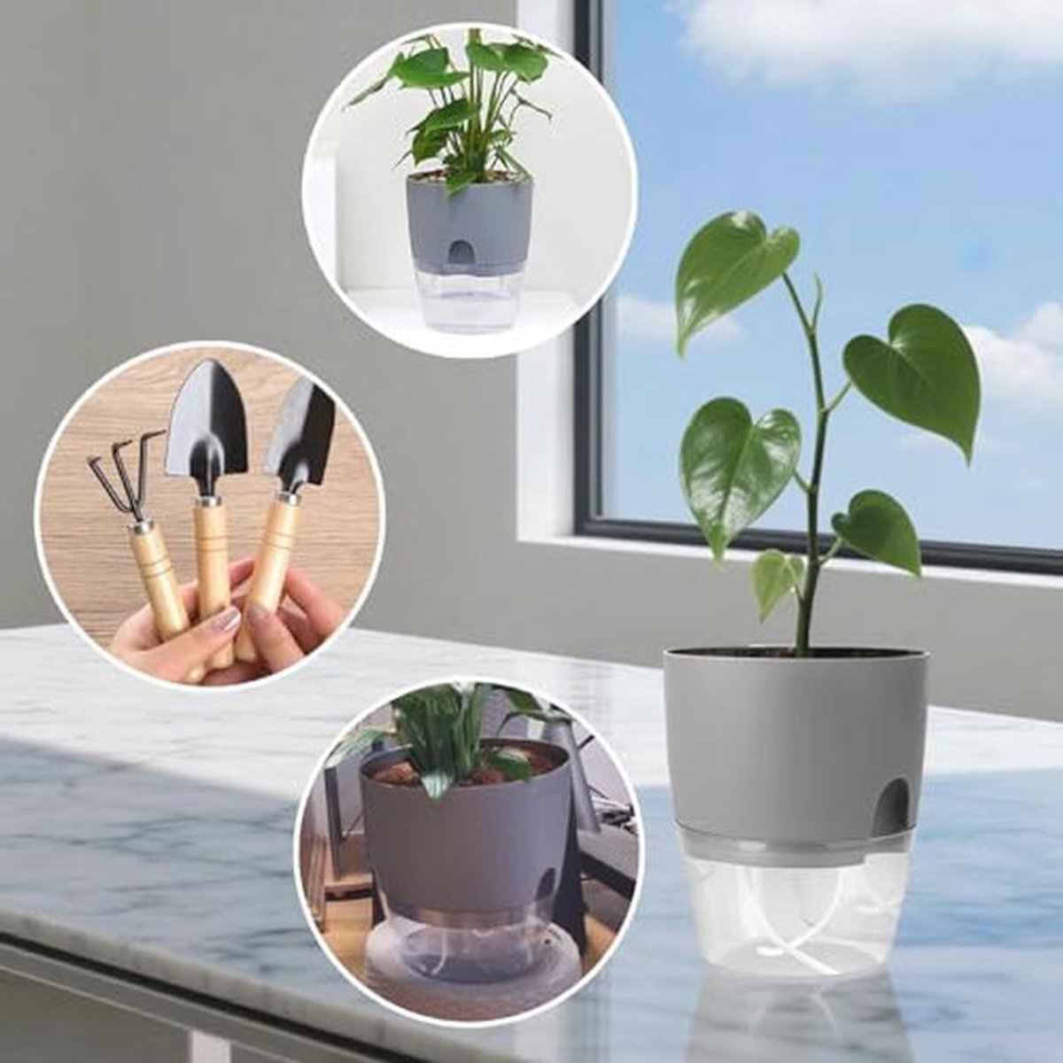 Zelfbewaterende Bloempot - Keukenset voor Kruiden en Planten met Automatisch Bewateringssysteem (Zwart) — cadeau in Wonen & Interieur - foto 8