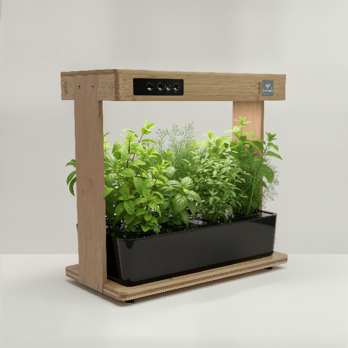 Lumegro Hydrocultuur Kweeksysteem Kitchin Style Black dubbele groei. Smart Garden intelligente binnentuin moestuin, compleet met 15 soorten kruidenzaden en dubbele set pluggen en voeding.