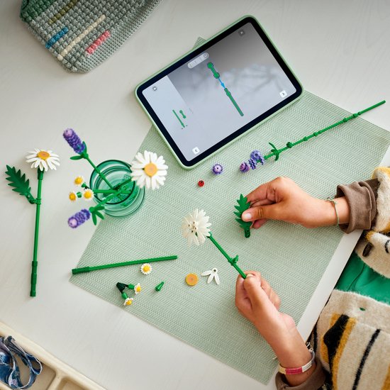 LEGO Botanicals Madeliefjes Bloemen - Bouwpakket voor Kinderen - 11508