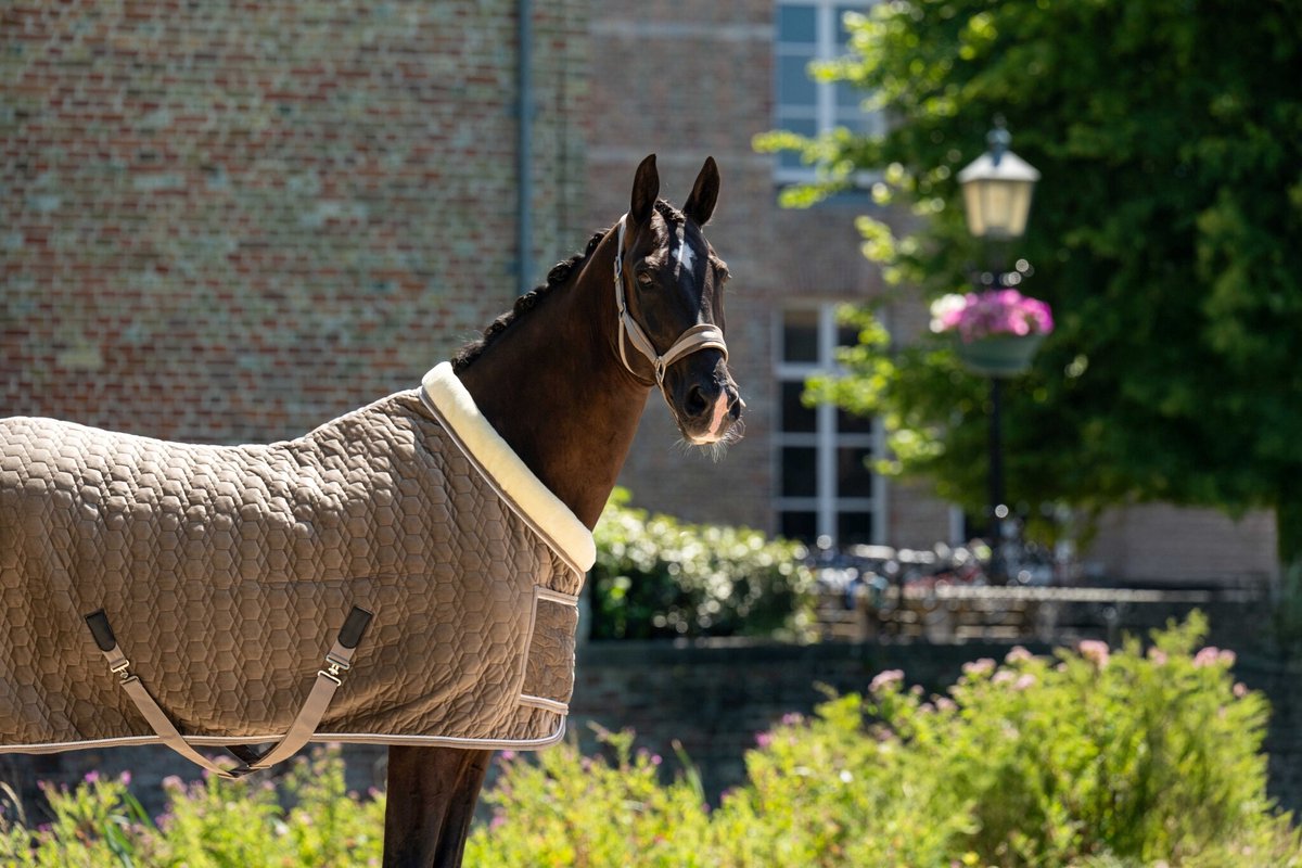 Showtime Showdeken Velvet Taupe - 195 - Zweetdeken