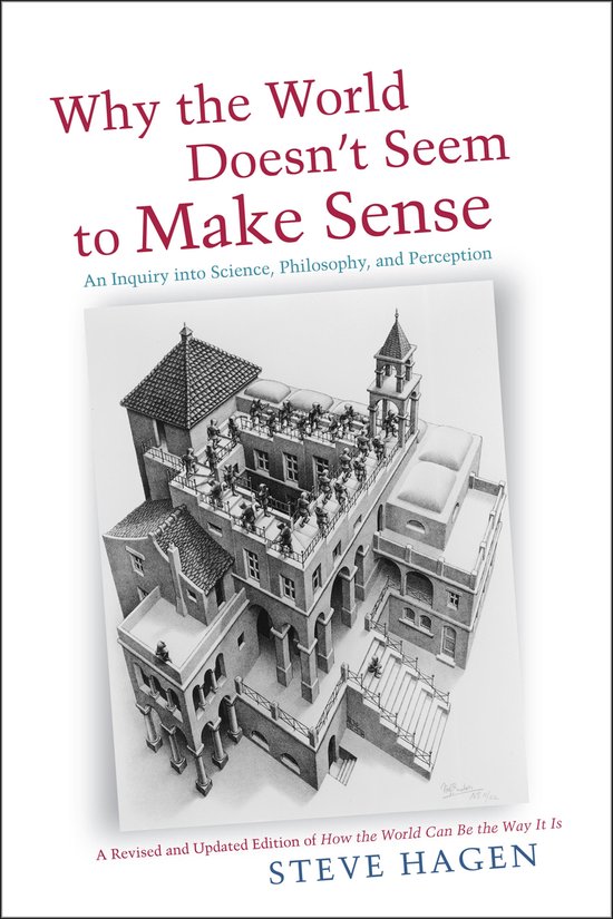 Boekomslag met de titel 'Why the World Doesn't Seem to Make Sense' en een illustratie van een optische illusie met gebouwen.