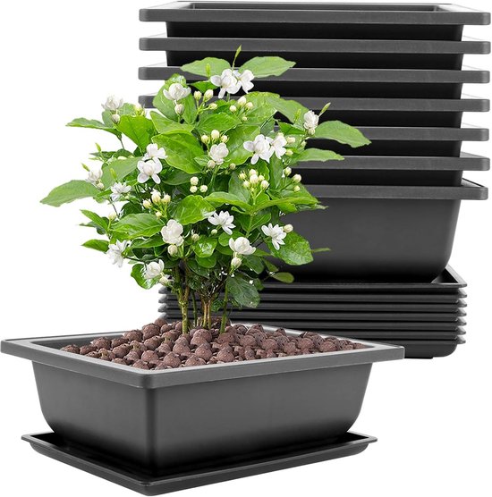 Belle Vous 6 Pak Bonsai Trainingspotten en Bevochtigingstrays - 16,5 x 22,5 cm - Duurzaam Plastic Bonsai/Bloemen/Vetplant Groeipotten met Ingebouwd Gaas voor Huis/Tuin