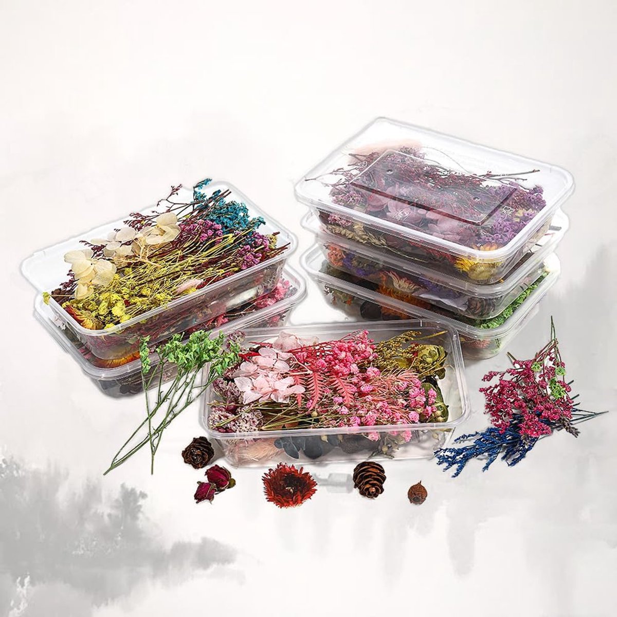 2 Dozen Echte Gedroogde Bloemen Voor DIY & Harskunst – Mix Kleuren