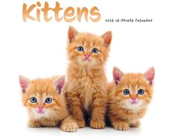 CAROUSEL Kalender 2026 - Kittens SS ML Wall