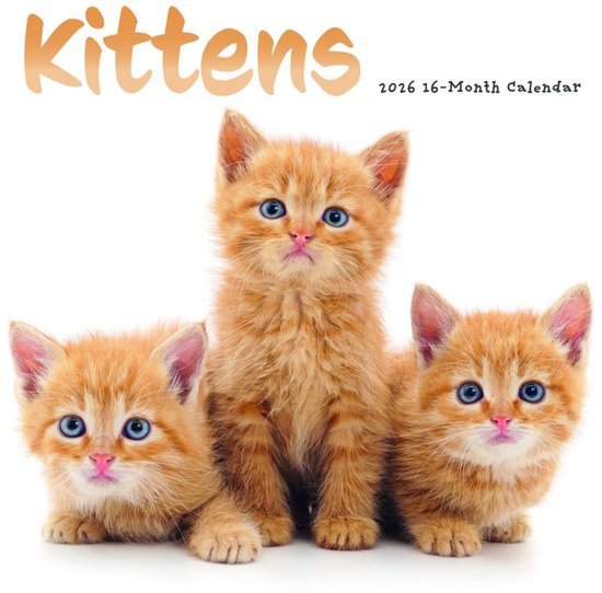 CAROUSEL Kalender 2026 - Kittens SS ML Wall