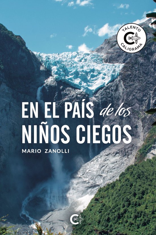 En el país de los niños ciegos - cover