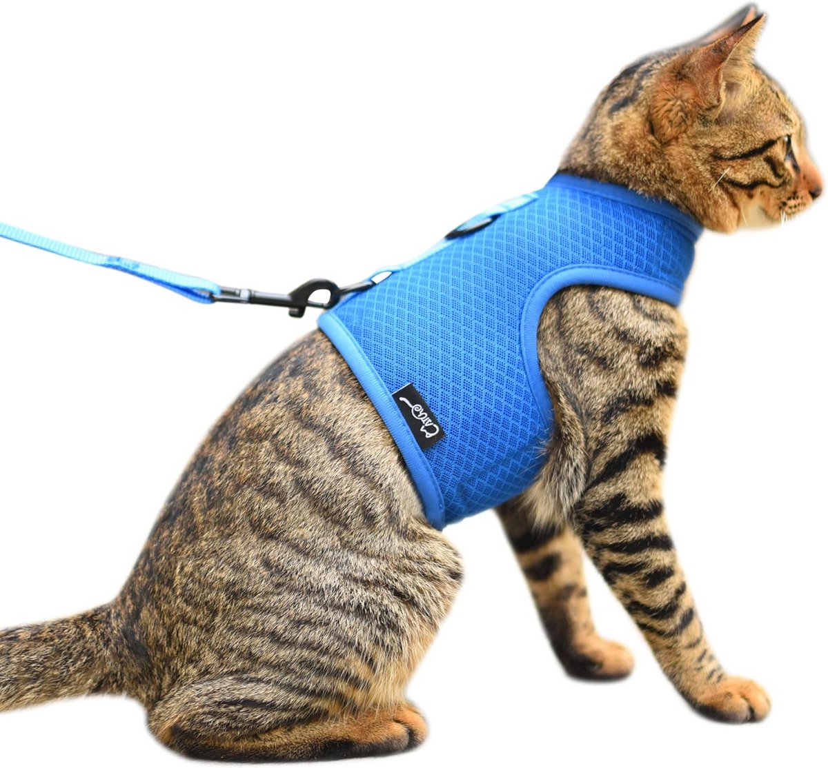 Veilig Kattenharnas met Riem - Ademend en Ontsnappingsbestendig voor Wandelen