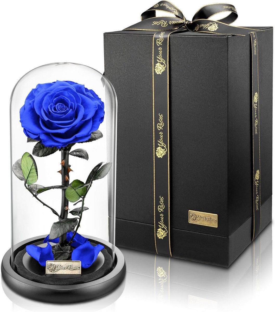 Echte premium roos in glas met geschenkdoos – Lange houdbaarheid en stijlvol cadeau