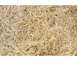 Natuurlijke Stro voor Dieren en Tuin - 70x50x30cm