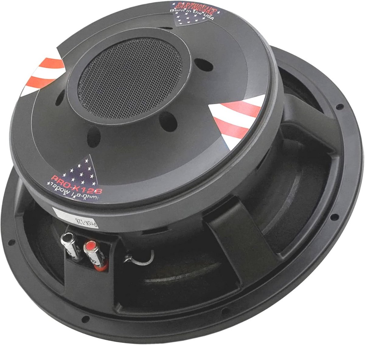 Professionele subwoofer 30,5 cm - Hoge efficiëntie en prestaties