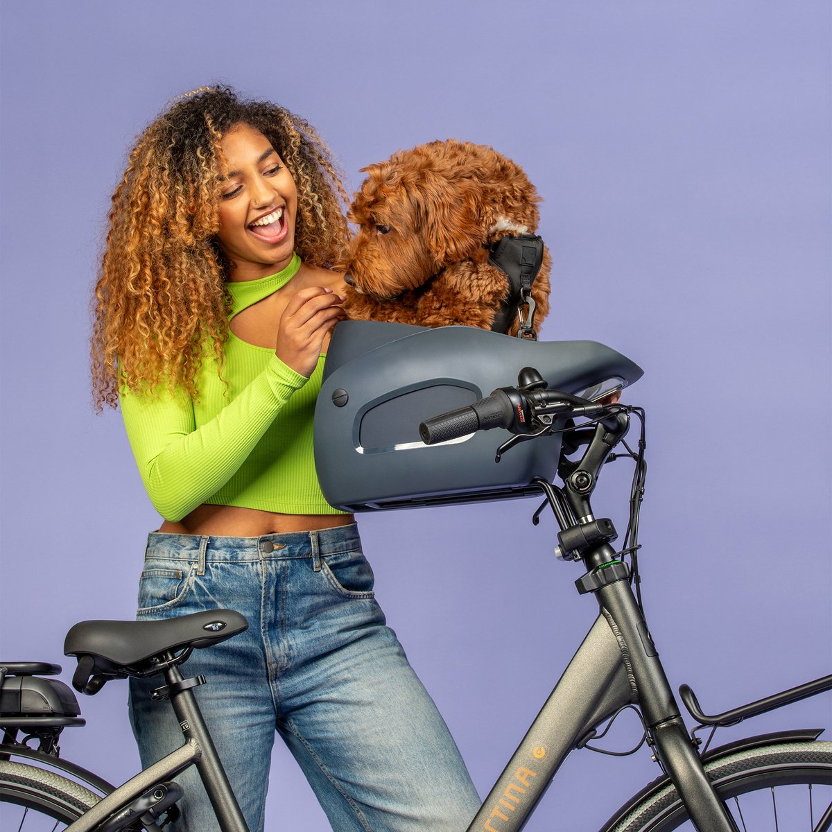 Kvisp® - Fietsmand voor Honden Voorop - Midnight Gray - S Harnas - Voor honden tot 12kg - Ook geschikt voor Elektrische Fietsen - Hondenmand Fiets - Veiligheid Voorop - Bekroond ontwerp – foto 7