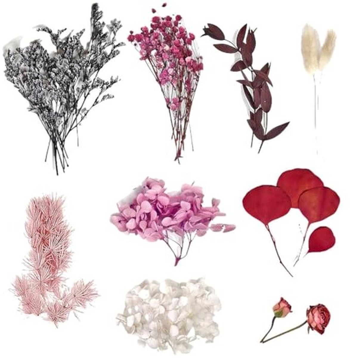 Droogbloemen Boeket - Natuurlijke Decoratieve Gedroogde Bloemen (Rood)