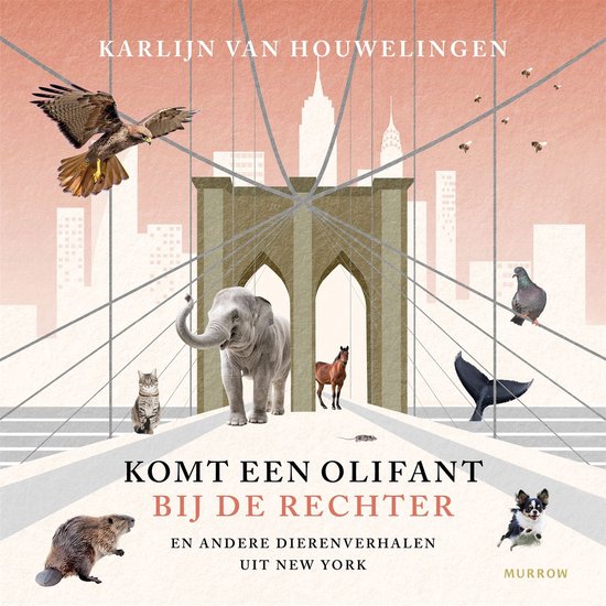 Komt een olifant bij de rechter - cover