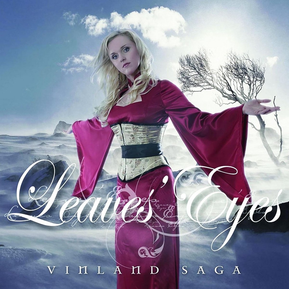 Epische Metal Muziek: Verhaal over Vinland Saga