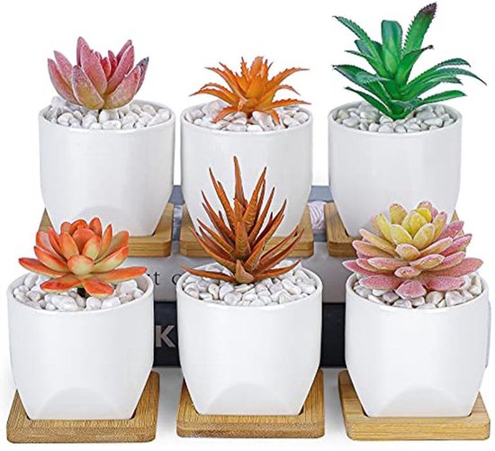 ARTKETTY Vetplantenpot, 25,5 cm grote bonsaipotten met drainagestandaard, ondiepe marmeren cactusplantenpot keramische potten voor binnen/buiten vetplanten decoratieve tuin bloem plantenkom