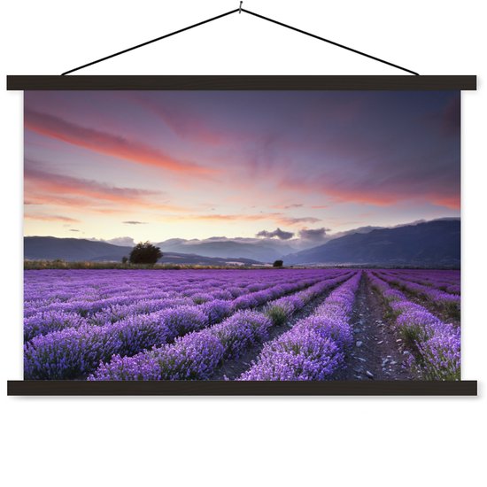 beau champ de lavande au coucher du soleil affiche scolaire lattes plates noir 120x80 cm - Tirage photo sur affiche textielposter (décoration murale salon / chambre)