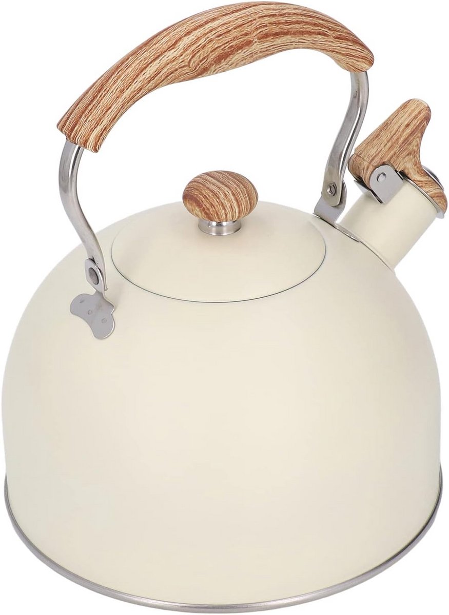 Fluitketel 2.5L RVS Waterkoker met Handvat voor Gas en Inductie