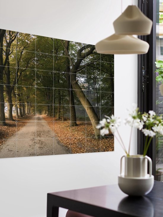 IXXI Autumn Forest Lane, Claire Droppert - 80 x 60 cm - Support d'accrochage gratuit - Grande décoration murale et posters - Réalisme, Photographie, Naturalisme