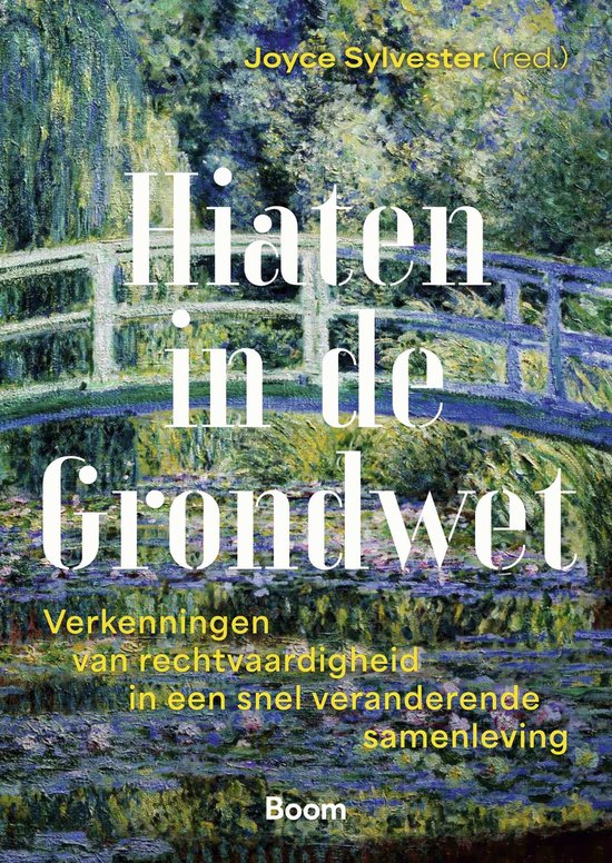 Hiaten in de Grondwet - cover