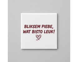 Bliksem Piebe Wat Bisto Leuk Tegel 15×15 cm – Grappige Friese Compliment Quote Keramische Wandtegel – Schattige Streektaal Spreuk Decor Cadeau
