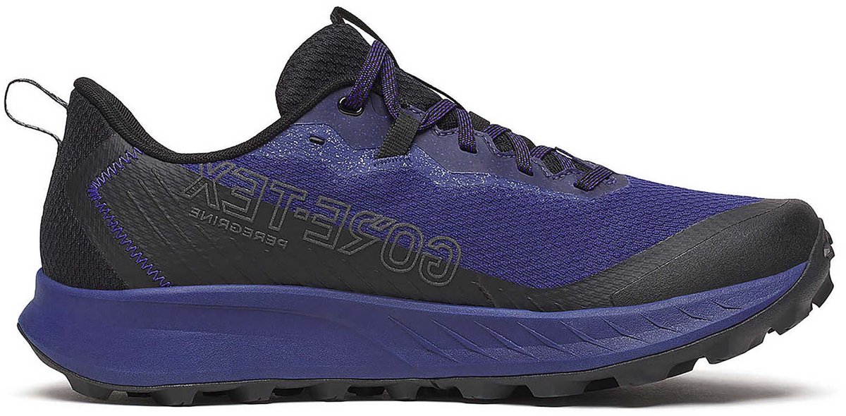 Saucony Running Schoenen Peregrine 15 Gtx Sportswear Volwassen Paars