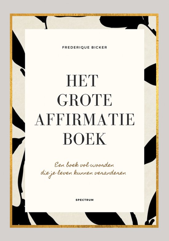 Het grote affirmatieboek - cover