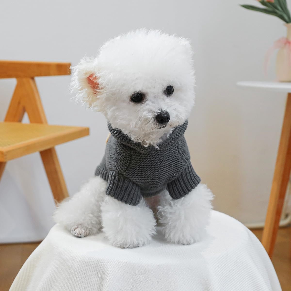 Hondenjas -Hondentrui - Pet Dog Sweater - Kleine Hondentruien met Capuchon - Puppy Schattige Gebreide Trui - Winterkleding Hond - Kat Lichtgewicht Warme Hoodies - Verjaardag Vakantie - Feestdecoratie - Kerst - Maat XL — cadeau in Cadeau-ideeën - foto 4