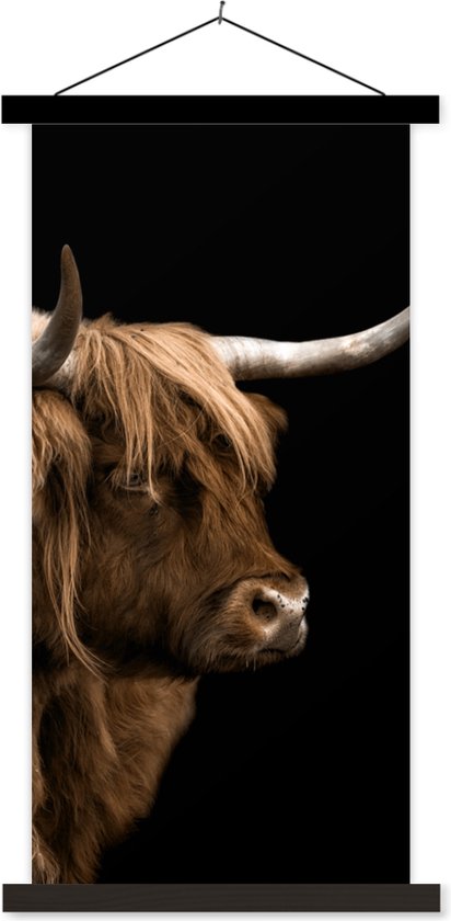 Affiche scolaire - Highlander écossais - Vache - Zwart - 60x120 cm - Lattes noires