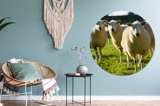 WallCircle - Wall Circle - Wall Circle Indoor - Moutons - Animaux - Laine - 150x150 cm - Décoration murale - Peintures Ronds