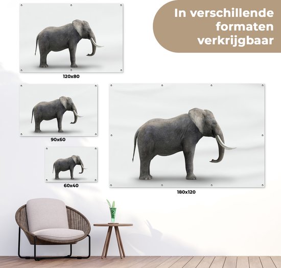 Décoration murale Eléphant sur fond blanc - 180x120 cm - Poster jardin - Toile jardin