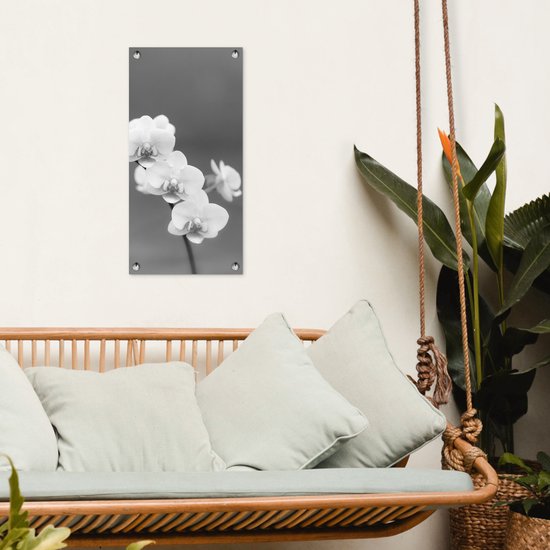 Poster de jardin Orchidée - Fleurs - Plante - Wit - Violet - 30x60 cm - Toile jardin - Poster extérieur