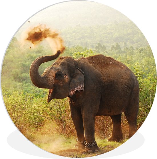 Wall Circle - Wall Circle Indoor - Éléphant de Nettoyage - 30x30 cm - Décoration murale - Peintures Ronds