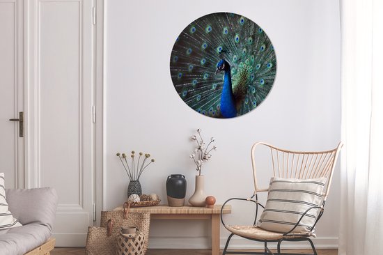 WallCircle - Cercle mural ⌀ 90 - Paon - Ressorts - Couleurs - Tableaux ronds salon - Plaque murale ronde - Cercle Décoration murale - Décoration chambre intérieur - Décoration murale - Accessoires de maison
