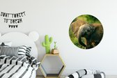 Wall Circle - Wall Circle Indoor - Éléphant d'Afrique à Rabat Oreilles - ⌀ 60 cm - Décoration murale - Peintures Ronds