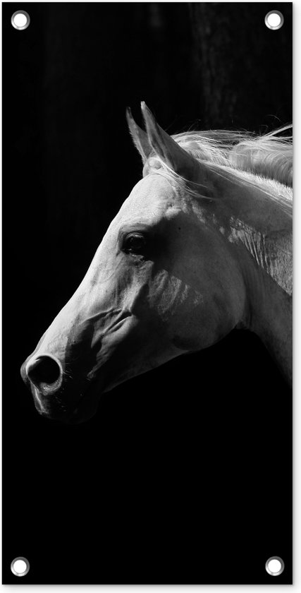 Tuinposter Paarden - Dieren - Portret - 30x60 cm - Tuindoek - Buitenposter