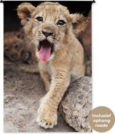 Tapisserie murale Lions - Tapisserie Cub coton 120x180 cm - Tapisserie murale avec photo XXL / Groot format !